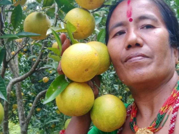 गाेठगाउँ - गाेठपानीकाे रसिलाे जुनार अब काठमाडौंमा