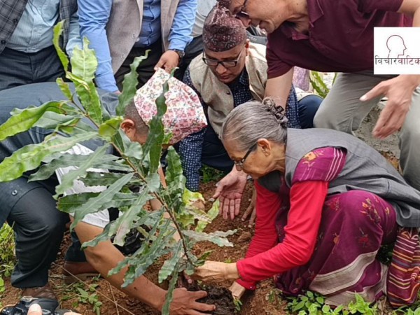 रामेछाप -काठमाडौं सम्पर्क मञ्च द्वारा पुष्पलाल पार्क  भंगेरीमा वृक्षारोपण ।