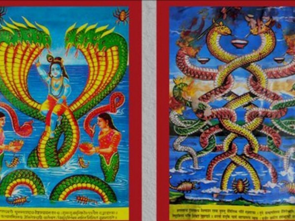 आज नाग पञ्चमी घर घरमा नाग देवताकाे फाेटाे टाँसी पुजा गरिदै ।