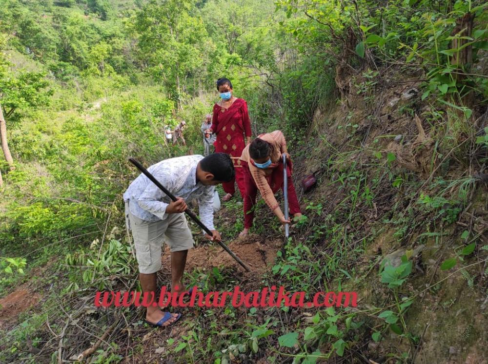 वातावरण संरक्षण परियोजनाको सहयोगमा सानिमदौले वृक्षारोपण गर्दै