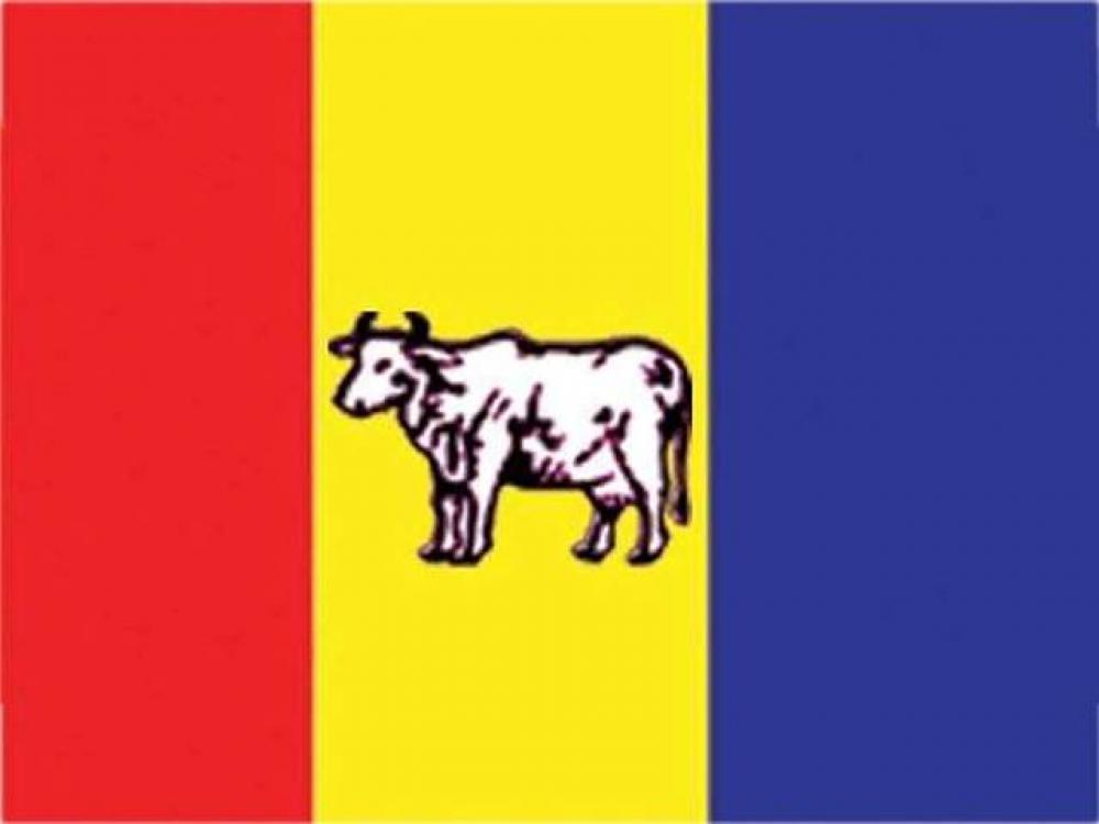 राप्रपा नेपालले निर्वाचन परिचालन समिति गठन गर्दै