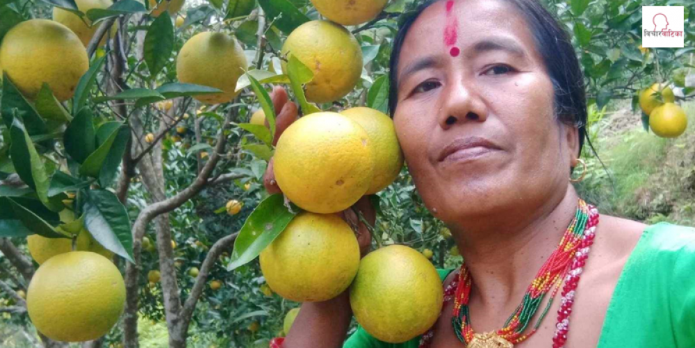 गाेठगाउँ - गाेठपानीकाे रसिलाे जुनार अब काठमाडौंमा