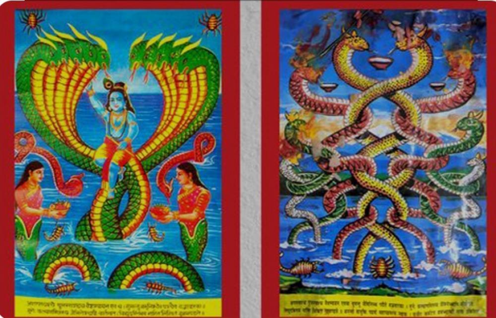 आज नाग पञ्चमी घर घरमा नाग देवताकाे फाेटाे टाँसी पुजा गरिदै ।