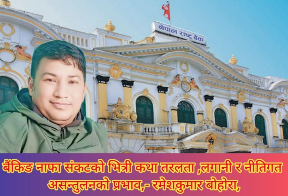 बैंकिङ नाफा संकटको भित्री कथा:  तरलता, लगानी र नीतिगत असन्तुलनको प्रभाव ।