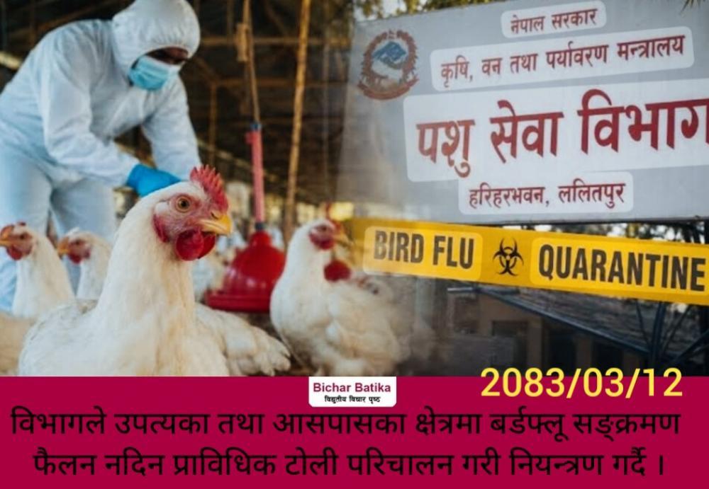 विभागले उपत्यका तथा आसपासका क्षेत्रमा बर्डफ्लू सङ्क्रमण फैलन नदिन प्राविधिक टोली परिचालन गरी नियन्त्रण गर्दै ।