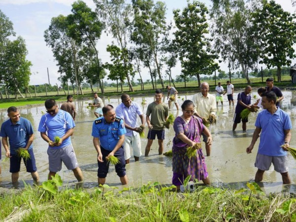 धान दिवसले किसान र कृषिलाई प्रोत्साहन गर्छ: महिला मन्त्री चौधरी
