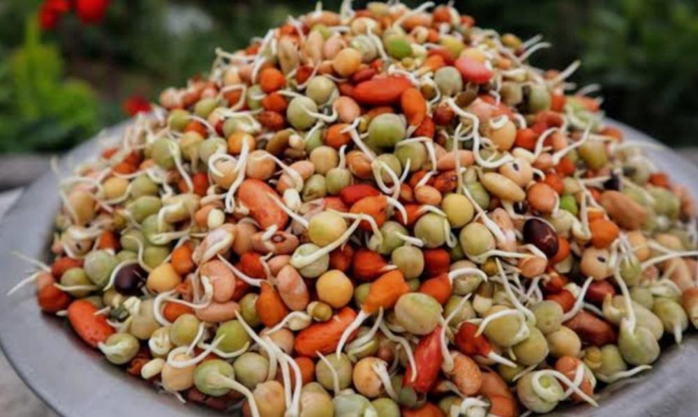 आज क्वाँटी तथा जनैपूणिर्मा ।