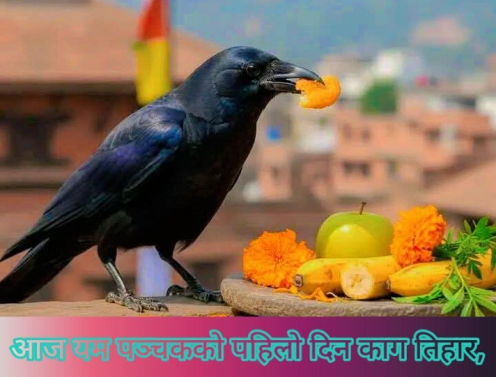 नेपालीहरूकाे दाेस्राे ठुलाे महान चाड यम पञ्चक ( तिहार)काे आज पहिलाे दिन काग तिहार घर घरमा मनाउदै ।